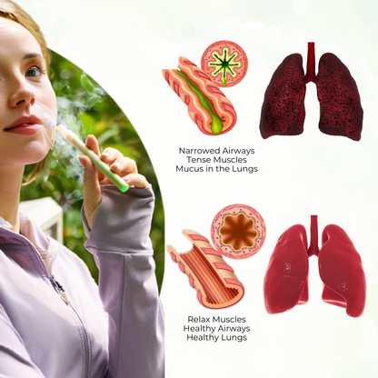 Timilk® HerbaAir Mullein Lung Purifier (A)